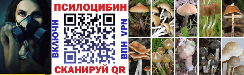 площадка Telegram  Тайга  Псилоцибиновые грибы мухоморы  блэк спрут онион 